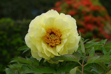 �摜�̐���