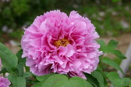 �摜�̐���