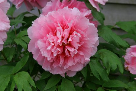 �摜�̐���